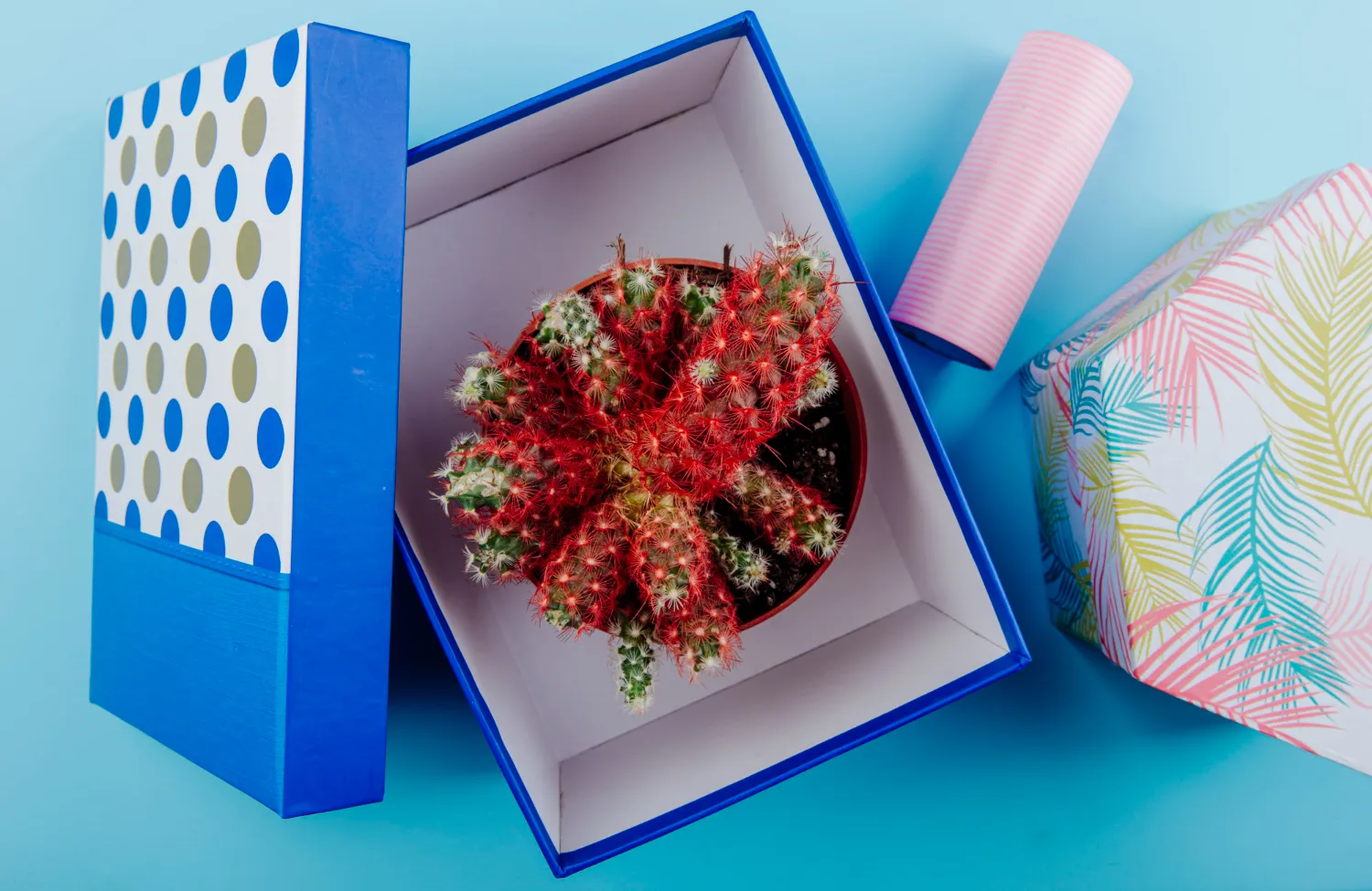 Premium Custom Twist Top Boxes for Unique Product Packaging